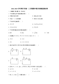 2024-2025学年新疆喀什市高一上册期中数学质量监测试卷(含解析)