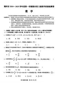 广东潮州市2024-2025高三上学期期末教学质量检测数学试卷及答案