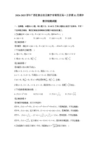 2024-2025学年广西壮族自治区南宁市青秀区高一上册11月期中数学检测试题（附解析）