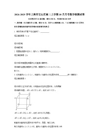 2024-2025学年上海市宝山区高二上册10月月考数学检测试卷（附解析）