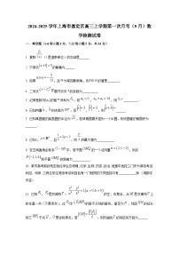 2024-2025学年上海市嘉定区高三上册第一次月考（9月）数学检测试卷
