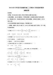 2024-2025学年四川省成都市高三上册10月阶段联考数学检测试卷（含解析）
