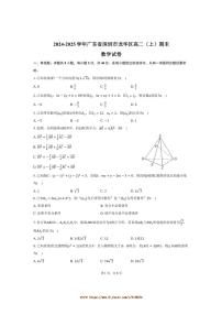 2024～2025学年广东省深圳市龙华区高二上期末数学试卷(含答案)
