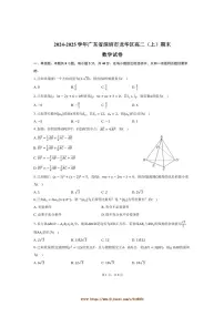 2024~2025学年广东省深圳市龙华区高二上期末数学试卷(含答案)