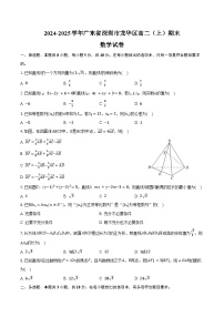2024-2025学年广东省深圳市龙华区高二（上）期末数学试卷（含答案）