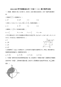 2024-2025学年湖南省永州一中高二（上）期中数学试卷（含答案）