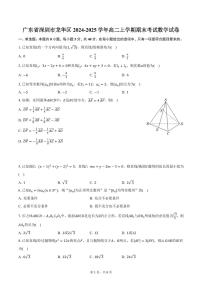 广东省深圳市龙华区2024-2025学年高二上学期期末考试数学试卷（含答案）