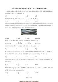2024～2025学年重庆市七校高二上期末数学试卷(含答案)