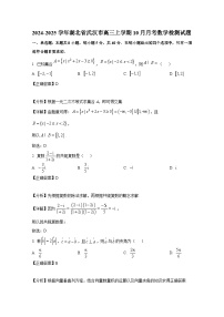 2024-2025学年湖北省武汉市高三上学期10月月考数学检测试题（附解析）