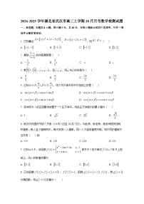 2024-2025学年湖北省武汉市高三上学期10月月考数学检测试题（含解析）