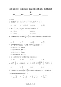 云南省红河州、文山州2025届高三第二次复习统一检测数学试题