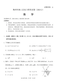 2025届广东省梅州市高三下学期高考一模数学试题