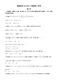 湖南省佩佩教育2025届高三下学期2月开学联考试题 数学 Word版含解析