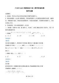 安徽省六安市2024-2025学年高三上学期期末考试数学试题（Word版附解析）