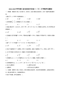 浙江省名校协作体2024-2025学年高二下学期开学考试数学试题（Word版附解析）