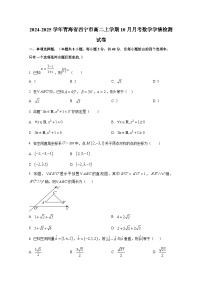 2024-2025学年青海省西宁市高二上册10月月考数学学情检测试卷