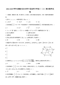 2024-2025学年安徽省安庆市怀宁县高河中学高二（上）期末数学试卷（含答案）