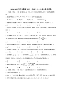 2024-2025学年安徽省安庆一中高二（上）期末数学试卷（含答案）