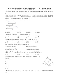 2024-2025学年安徽省合肥市六校联考高二（上）期末数学试卷（含答案）