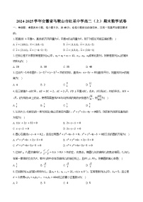 2024-2025学年安徽省马鞍山市红星中学高二（上）期末数学试卷（含答案）