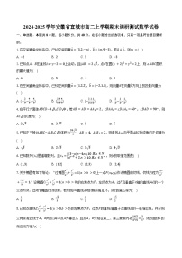 2024-2025学年安徽省宣城市高二上学期期末调研测试数学试卷（含答案）