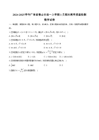 2024-2025学年广东省佛山市高一上学期1月期末教学质量检测数学试卷（含答案）