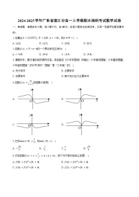 2024-2025学年广东省湛江市高一上学期期末调研考试数学试卷（含答案）