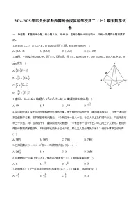 2024-2025学年贵州省黔西南州金成实验学校高二(上)期末数学试卷(含答案)