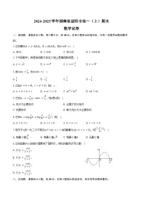 2024-2025学年湖南省益阳市高一（上）期末数学试卷（含答案）
