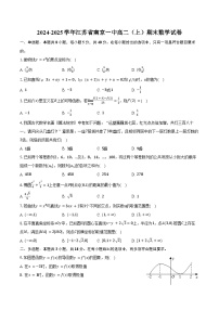 2024-2025学年江苏省南京一中高二（上）期末数学试卷（含答案）