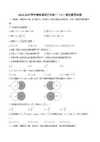 2024-2025学年青海省西宁市高一（上）期末数学试卷（含答案）