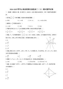 2024-2025学年山东省淄博市某校高二（上）期末数学试卷（含答案）