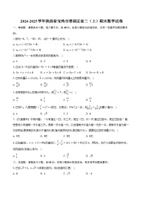 2024-2025学年陕西省宝鸡市渭滨区高二（上）期末数学试卷（含答案）