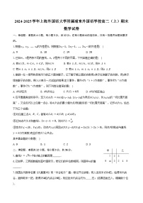 2024-2025学年上海外国语大学附属浦东外国语学校高二（上）期末数学试卷（含答案）