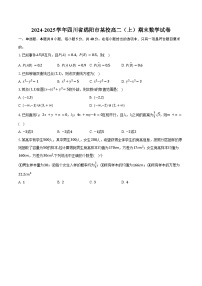 2024-2025学年四川省绵阳市某校高二（上）期末数学试卷（含答案）