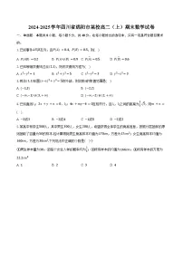 2024-2025学年四川省绵阳市某校高二（上）期末数学试卷（含答案）