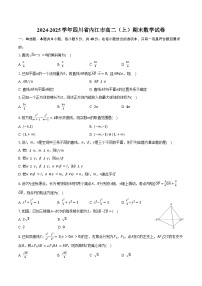 2024-2025学年四川省内江市高二（上）期末数学试卷（含答案）