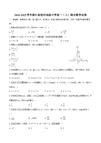 2024-2025学年浙江省杭州高级中学高一（上）期末数学试卷（含答案）