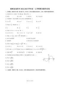 湖南省益阳市2024-2025学年高一上学期期末数学试卷（含答案）