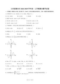 山东省泰安市2024-2025学年高一上学期期末数学试卷（含答案）