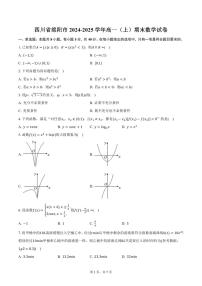四川省绵阳市2024-2025学年高一（上）期末数学试卷（含答案）