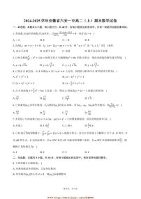 2024～2025学年安徽省六安市六安一中高二上期末数学试卷(含答案)