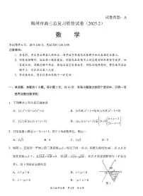 广东省梅州市高三下学期高考模拟2月一模-数学试卷+答案