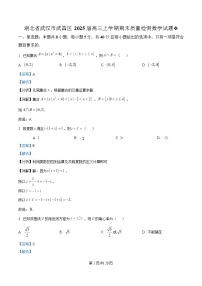 湖北省武汉市武昌区2025届高三上学期期末质量检测数学试卷（Word版附解析）