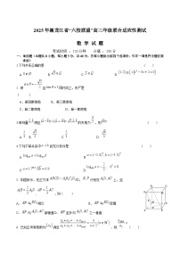 黑龙江省“六校联盟”2025届高三上学期联合适应性测试 数学