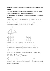 2024-2025学年山东省济宁市高二上册10月月考数学质量检测试题（含解析）