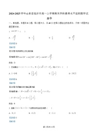 山东省临沂市2024-2025学年高一上学期1月期末考试数学试卷（Word版附解析）