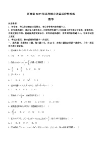 2025年1月高三全国统一考试适应性测试（八省联考）数学试题