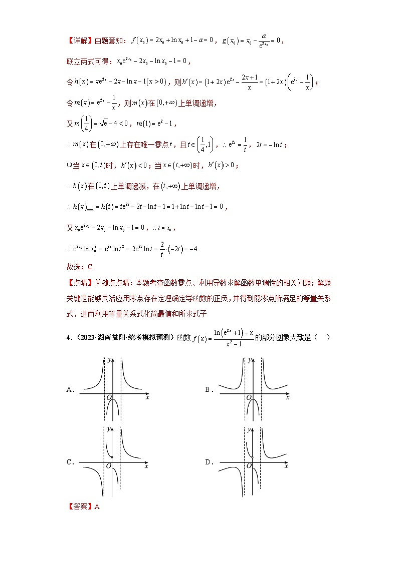 新高考数学三轮复习考前冲刺练习10 函数与导数小题综合(解析版)第3页