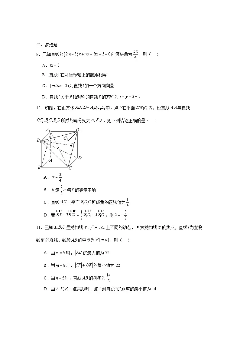 广西壮族自治区2024-2025学年高二下学期开学考试 数学试题(含解析)第2页